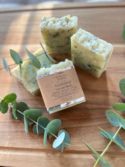 Natural Grass-Fed Tallow Soap- Eucalyptus