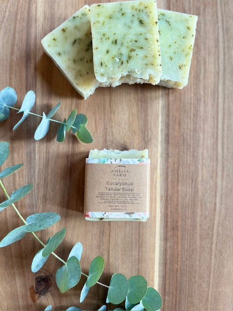 Natural Grass-Fed Tallow Soap- Eucalyptus